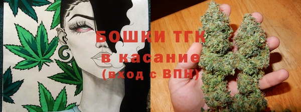 ПСИЛОЦИБИНОВЫЕ ГРИБЫ Аркадак