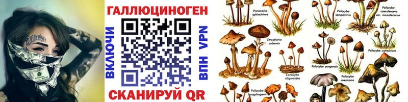 Псилоцибиновые грибы мухоморы  Макаров 